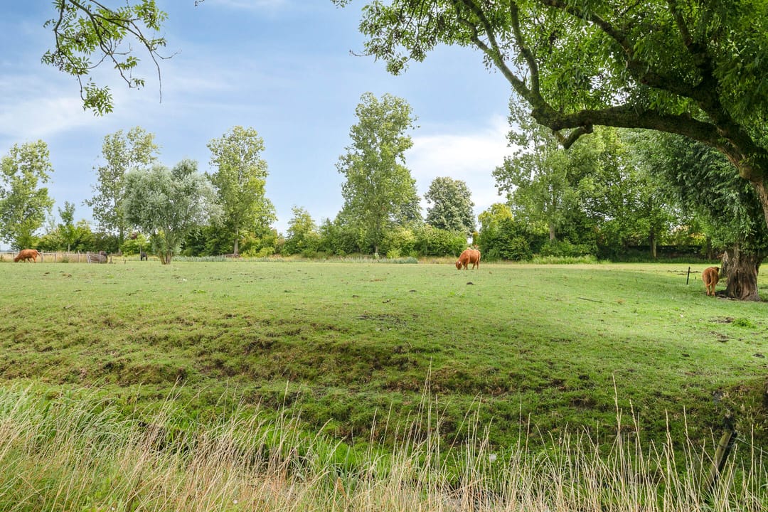 Photo 53 of Noordzijde 39