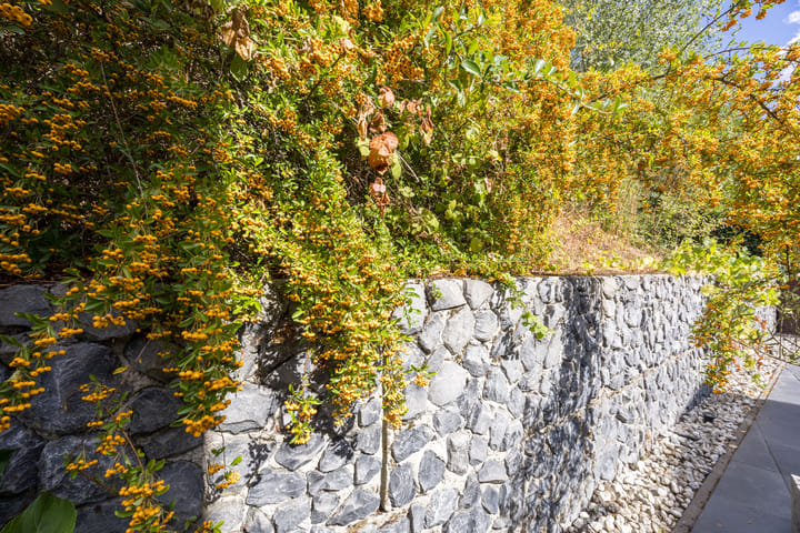 Photo 35 of Buitendreef 4