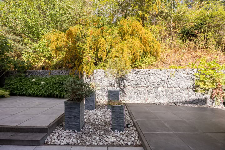 Photo 39 of Buitendreef 4