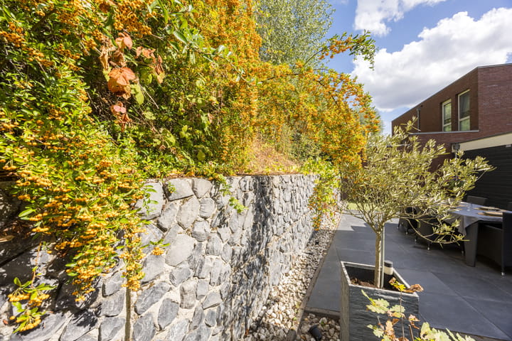 Photo 40 of Buitendreef 4