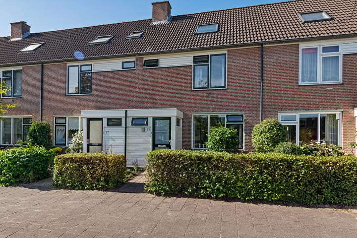 Foto 37 van Delta 79