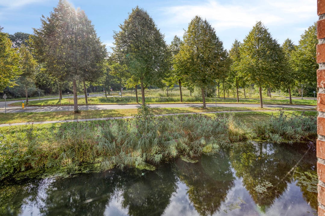 Foto 32 van Sichtermanmarke 106