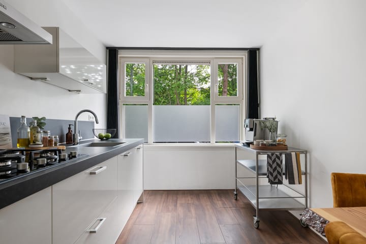 Foto 12 van West-Sidelinge 226-B