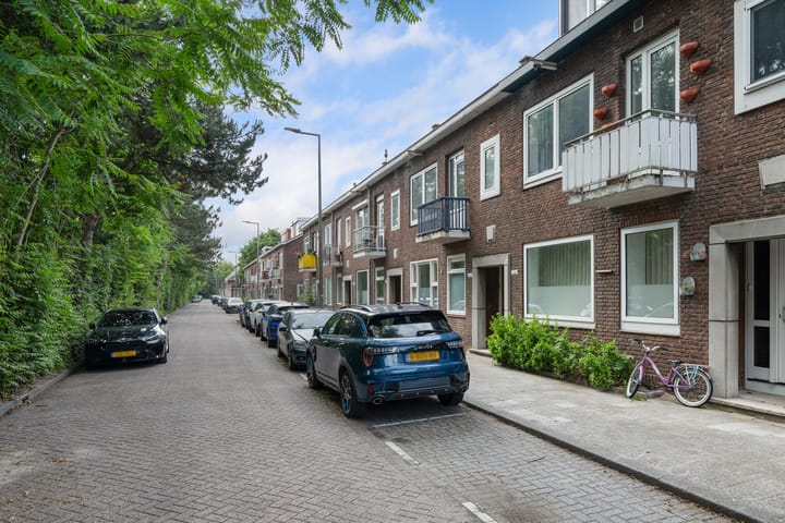 Foto 24 van West-Sidelinge 226-B