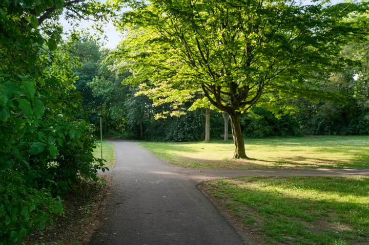 Foto 25 van West-Sidelinge 226-B