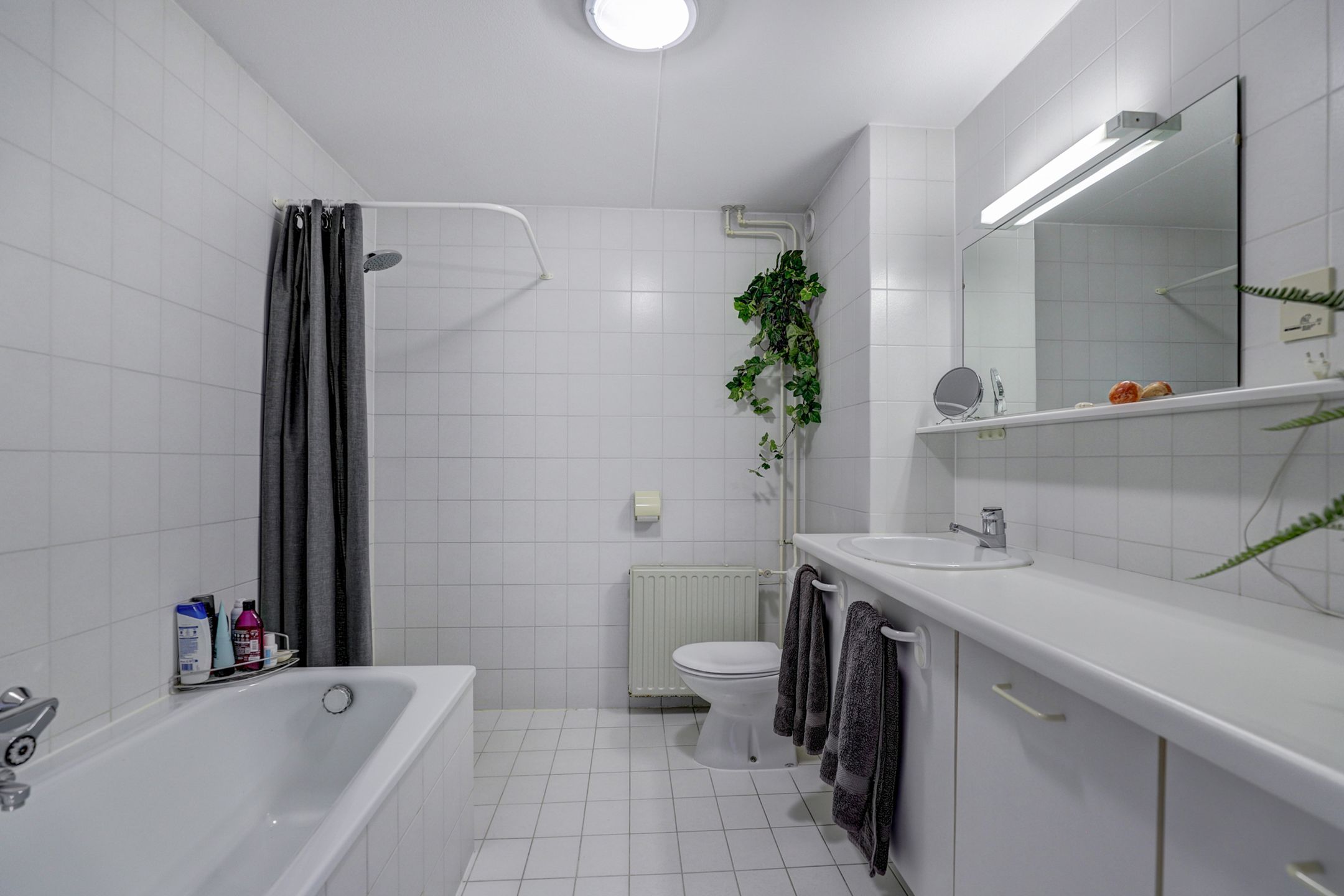 Foto 12 van Hohorst 60