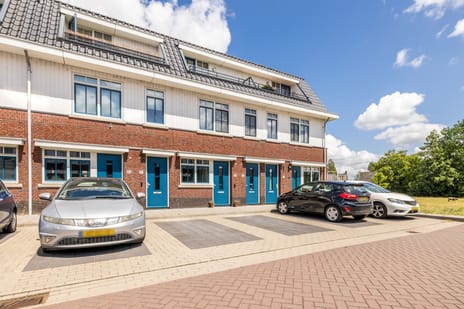 undefined main image