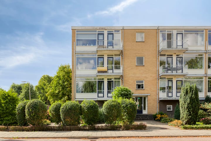 Foto 2 van Dronensingel 71