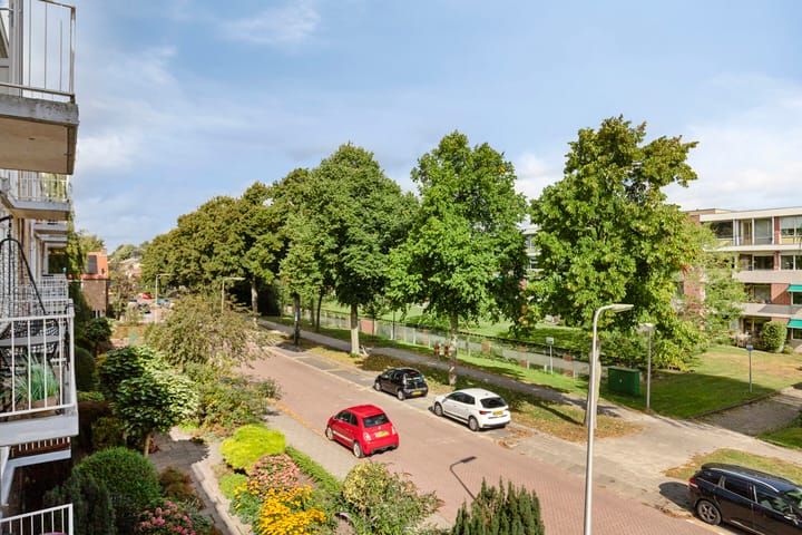 Foto 13 van Dronensingel 71