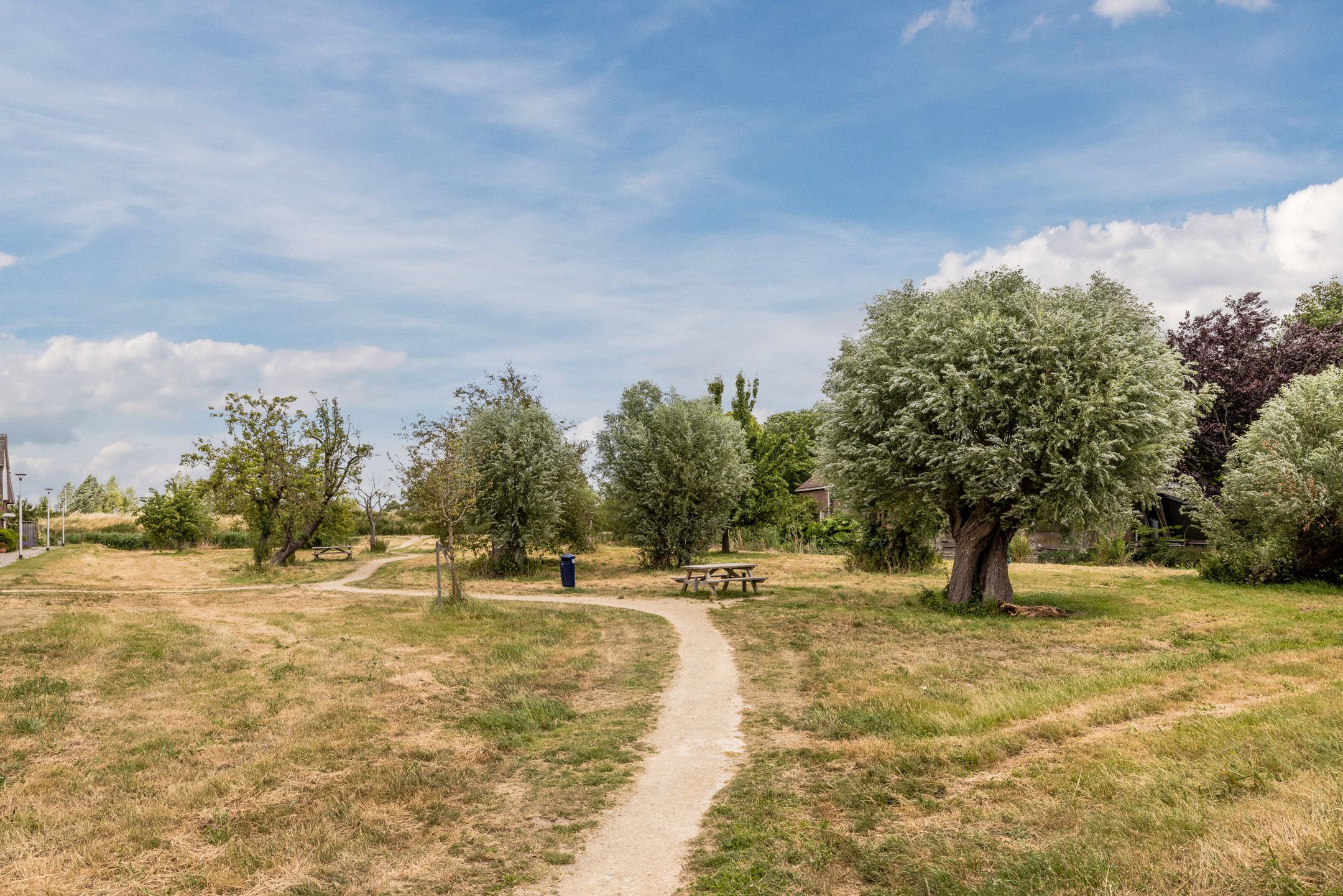 Foto 30 van Anemoonlaan 29