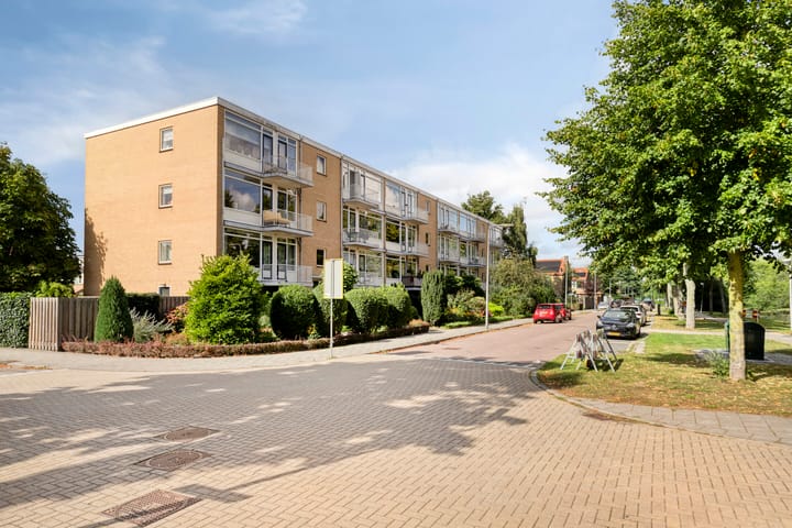 Foto 30 van Dronensingel 71