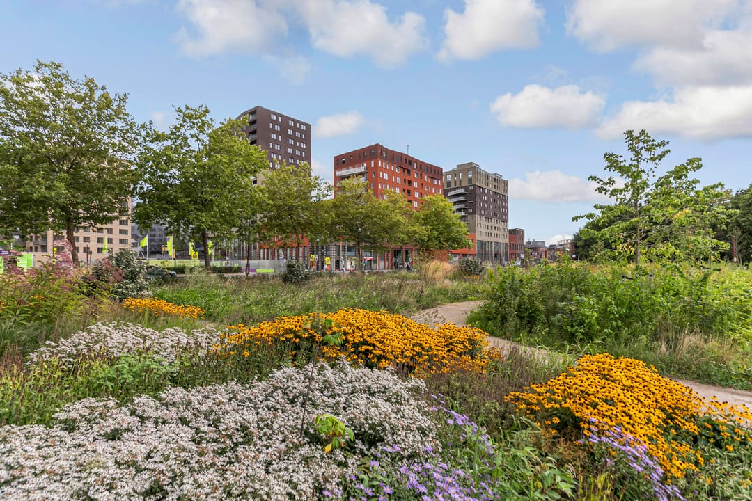 Foto 67 van Herenstraat 175