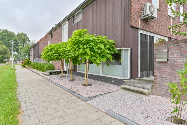 Foto 4 van Perseus 5