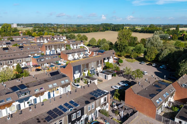 Foto 1 van Kanariesprenk 363