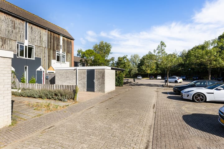 Foto 6 van Kanariesprenk 363