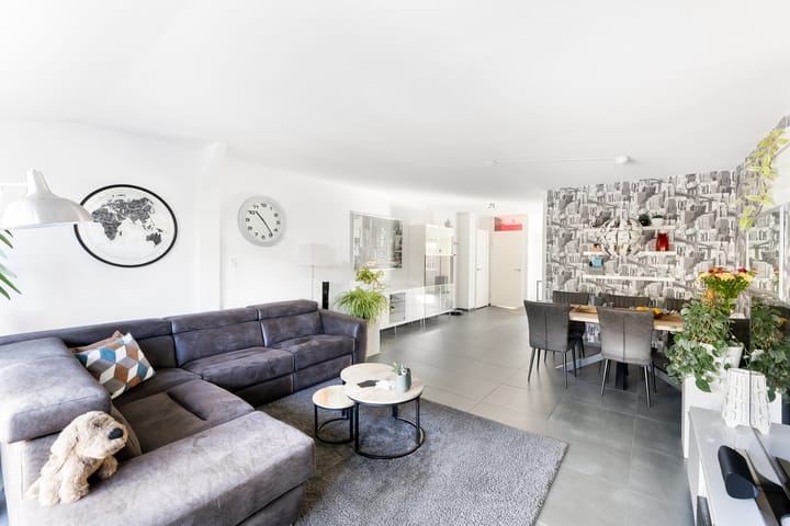 Foto 9 van Kanariesprenk 363