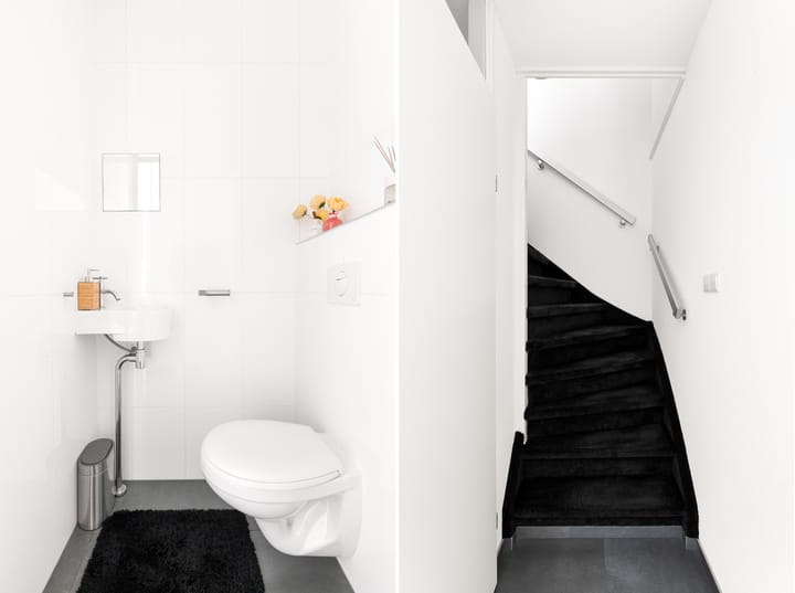 Foto 16 van Kanariesprenk 363