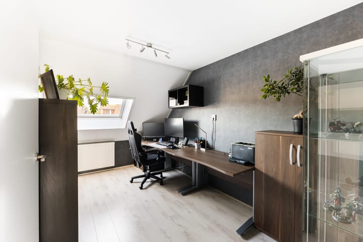 Foto 19 van Kanariesprenk 363