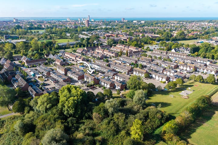 Foto 26 van Kanariesprenk 363