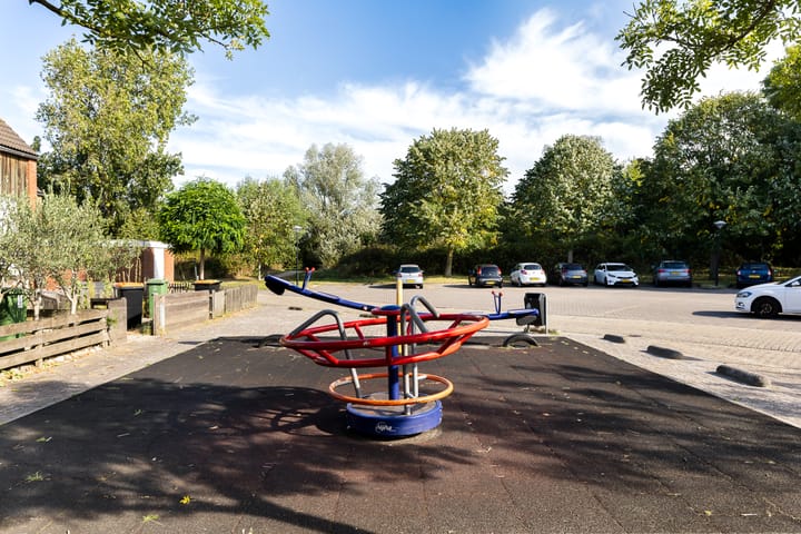 Foto 27 van Kanariesprenk 363