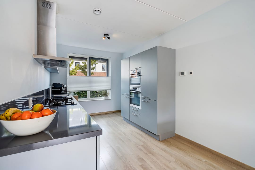 Foto 7 van Kleine vos 8