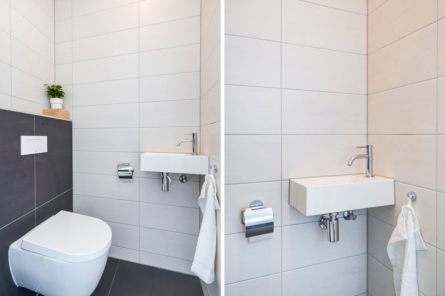 Foto 19 van Kleine vos 8