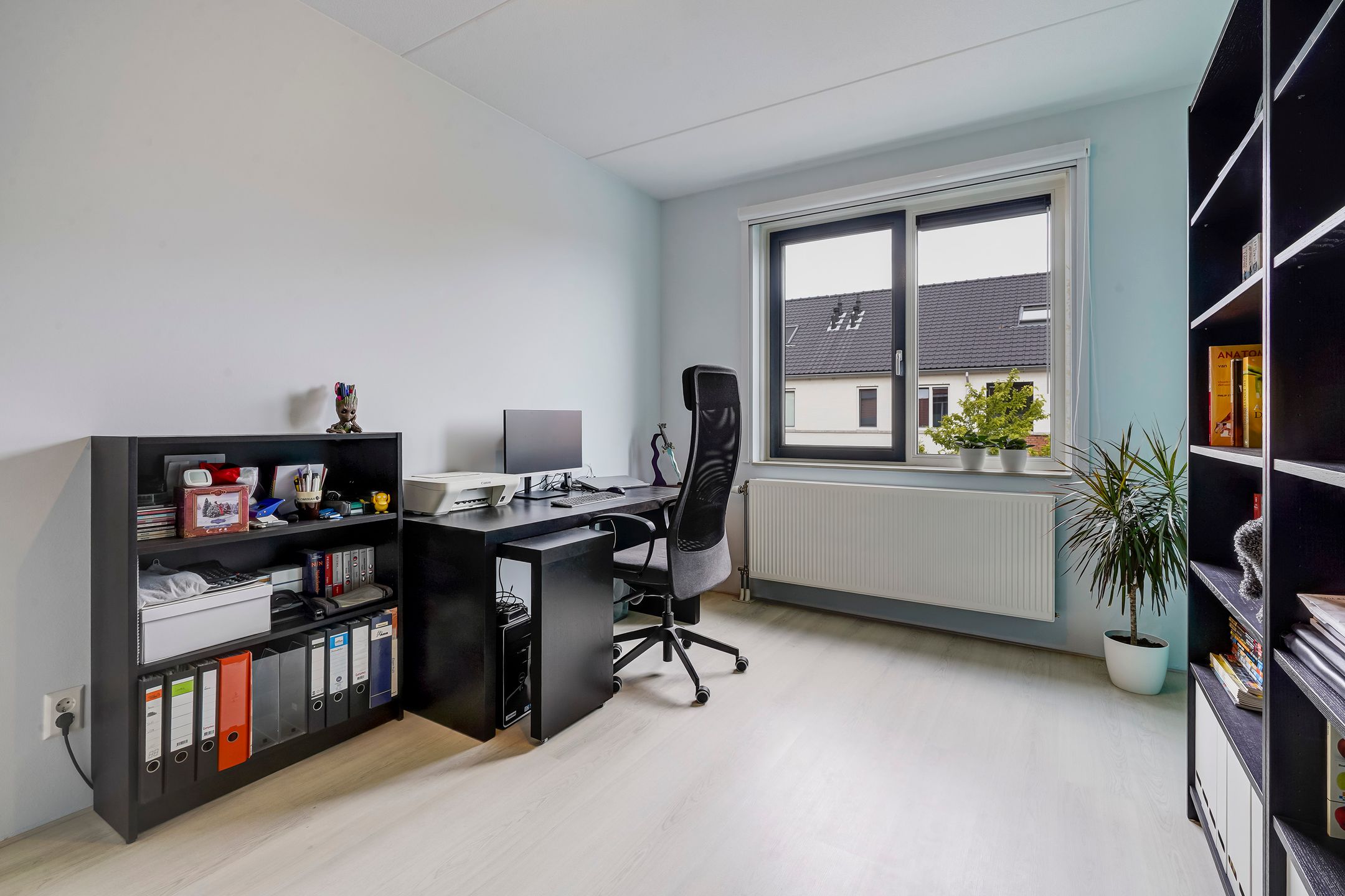 Foto 30 van Kleine vos 8