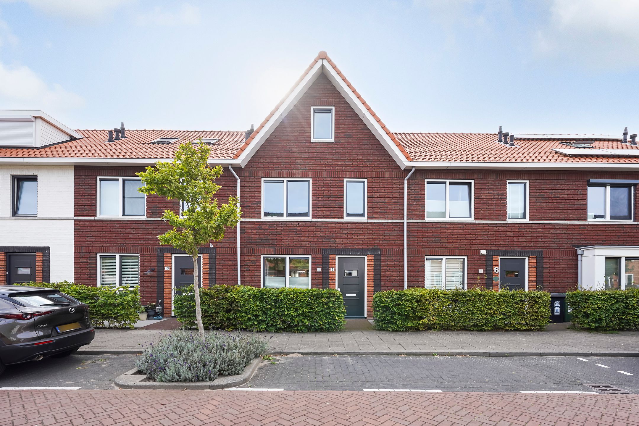 Foto 42 van Kleine vos 8