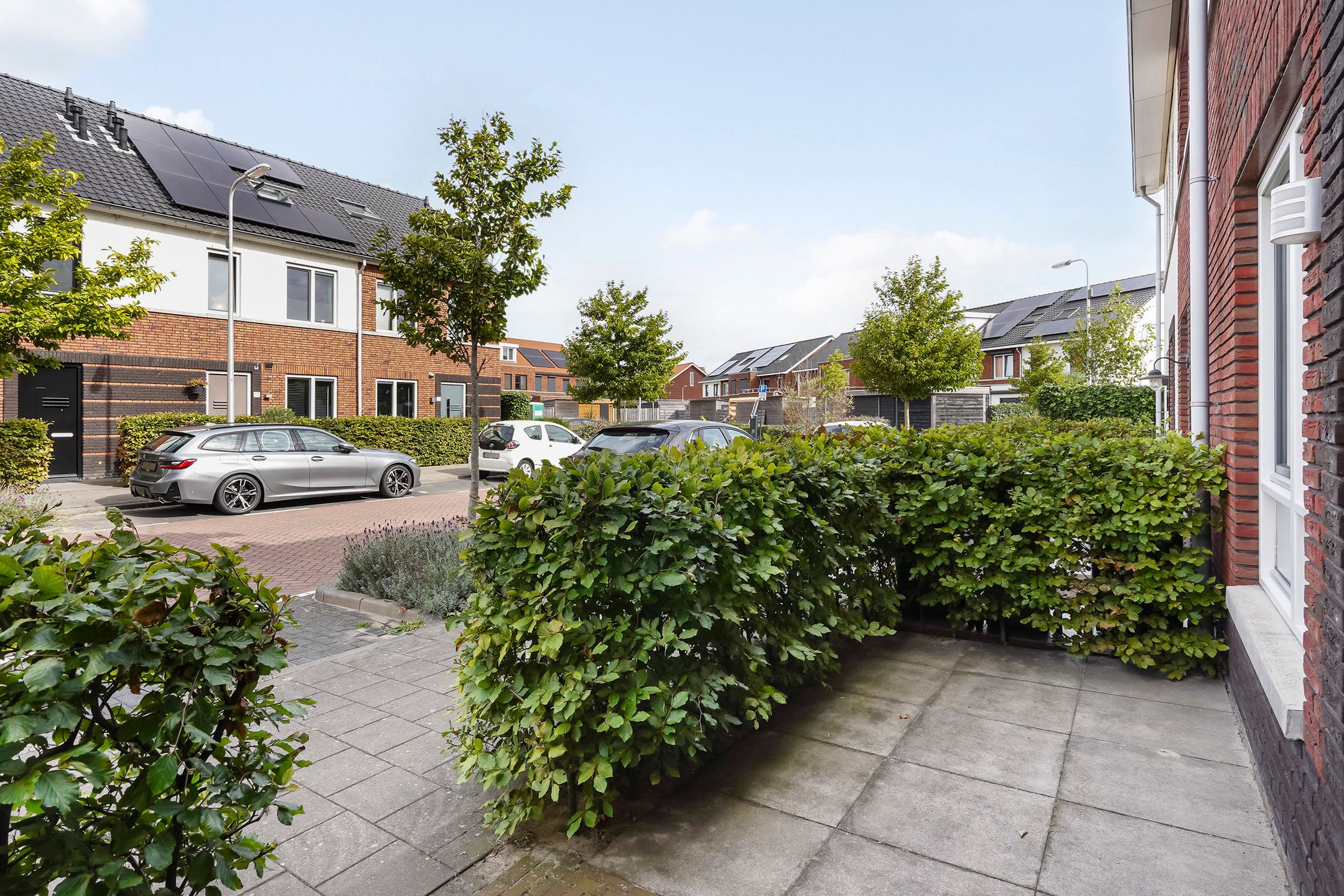 Foto 45 van Kleine vos 8