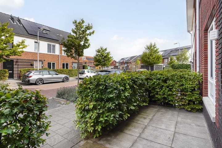 Photo 45 of Kleine vos 8