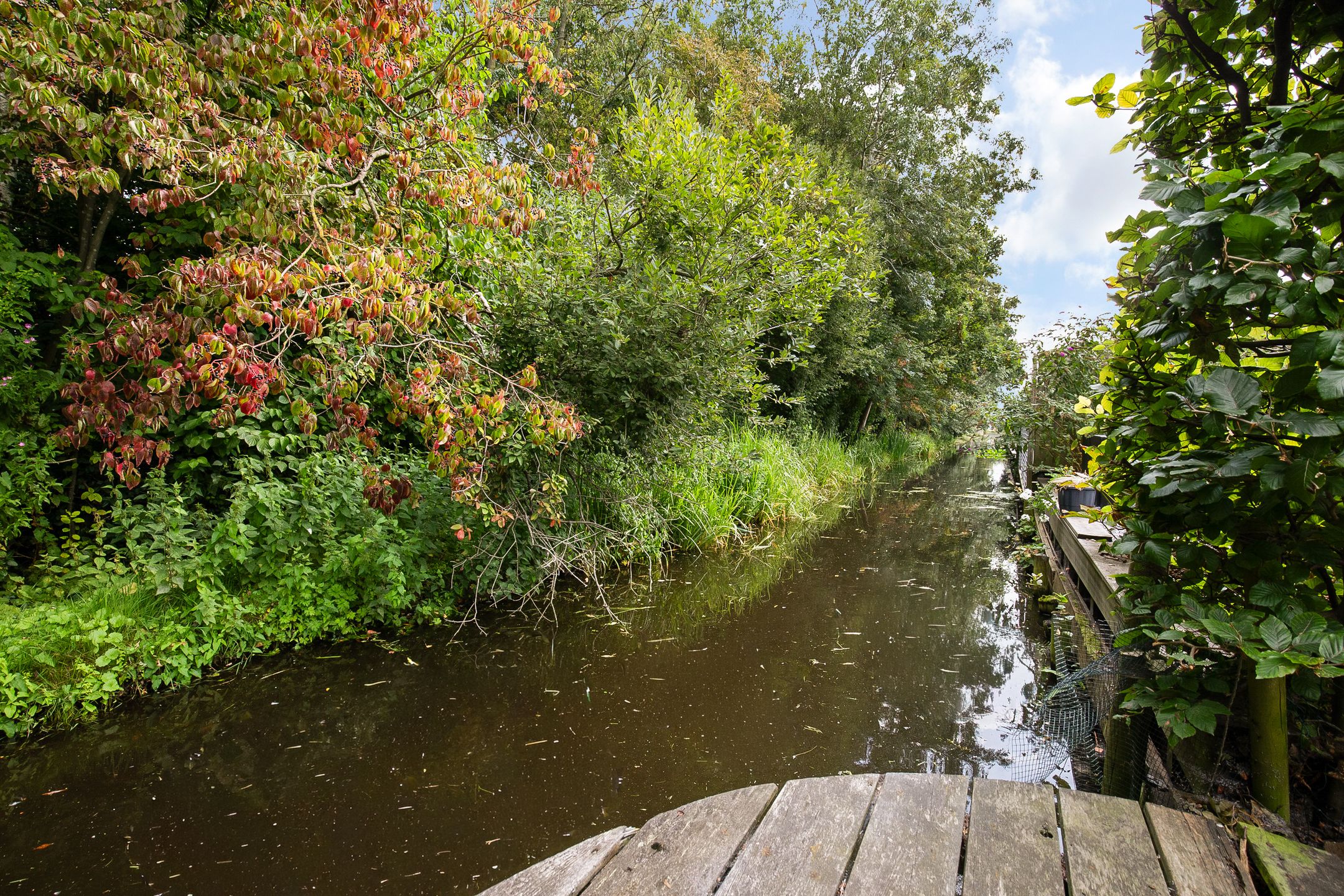 Foto 42 van Laagveen 33