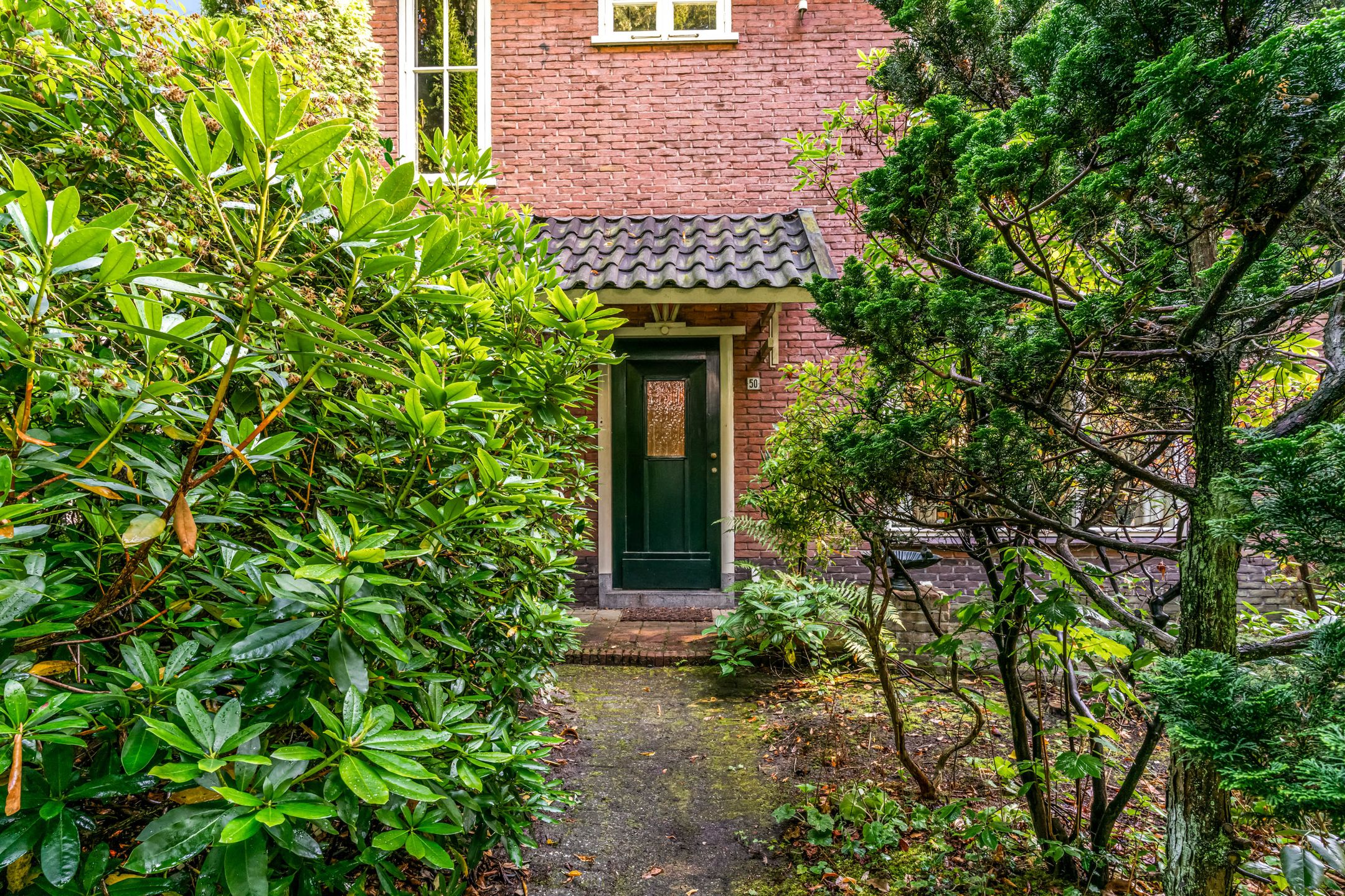 Photo 3 of Obrechtlaan 50