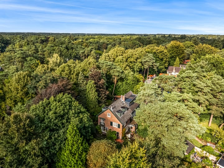 Foto 4 van Obrechtlaan 50