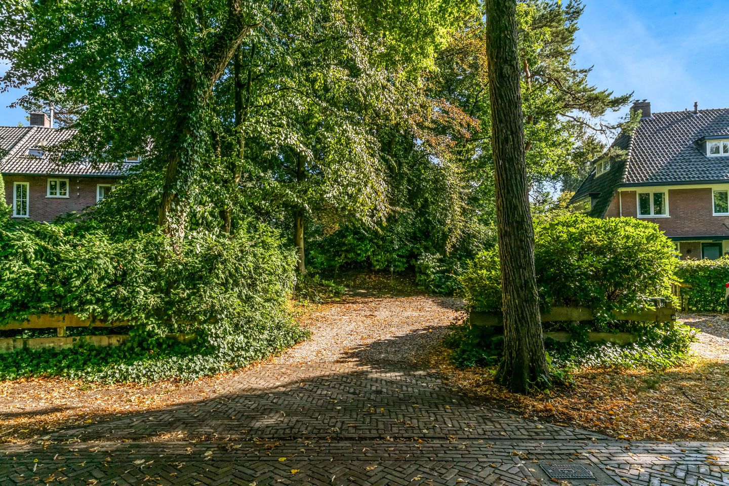 Photo 5 of Obrechtlaan 50