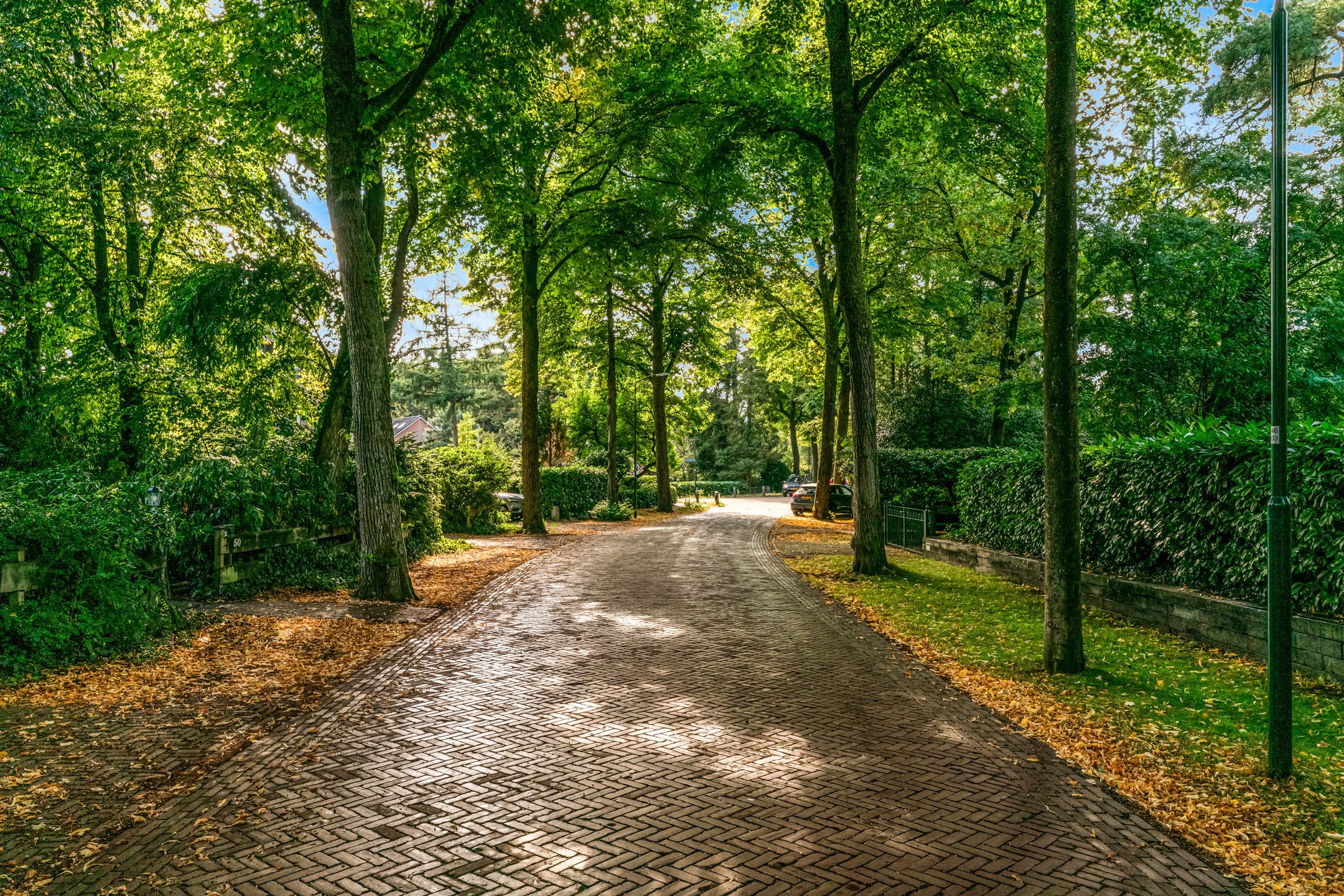 Photo 6 of Obrechtlaan 50