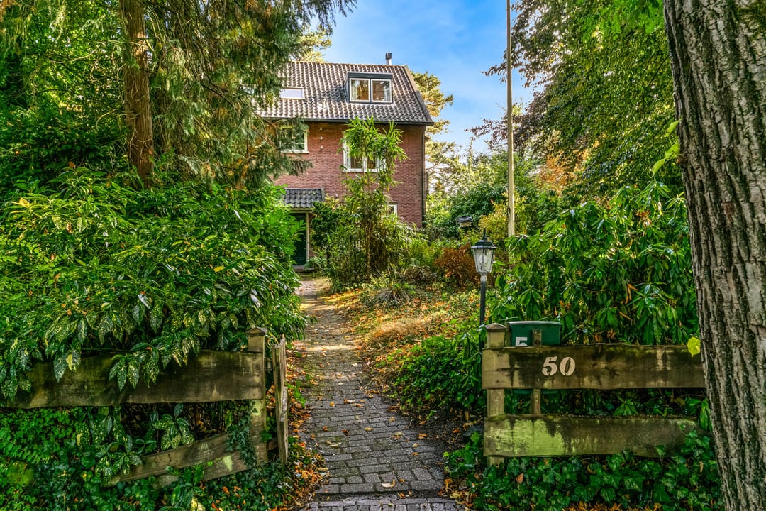 Photo 7 of Obrechtlaan 50
