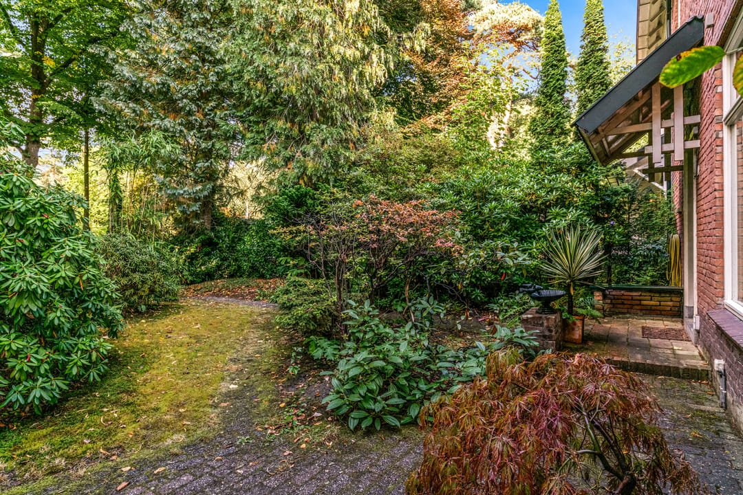 Photo 8 of Obrechtlaan 50