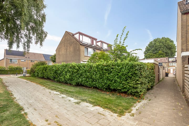 Foto 38 van Langeweide 284