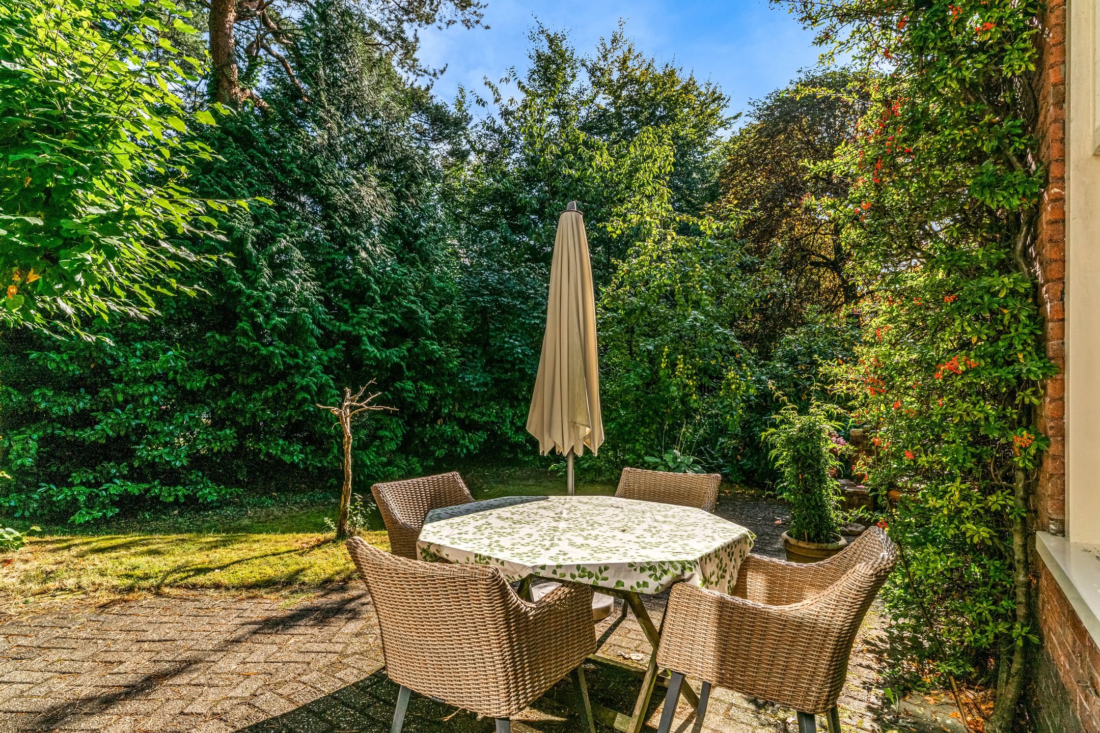 Photo 42 of Obrechtlaan 50