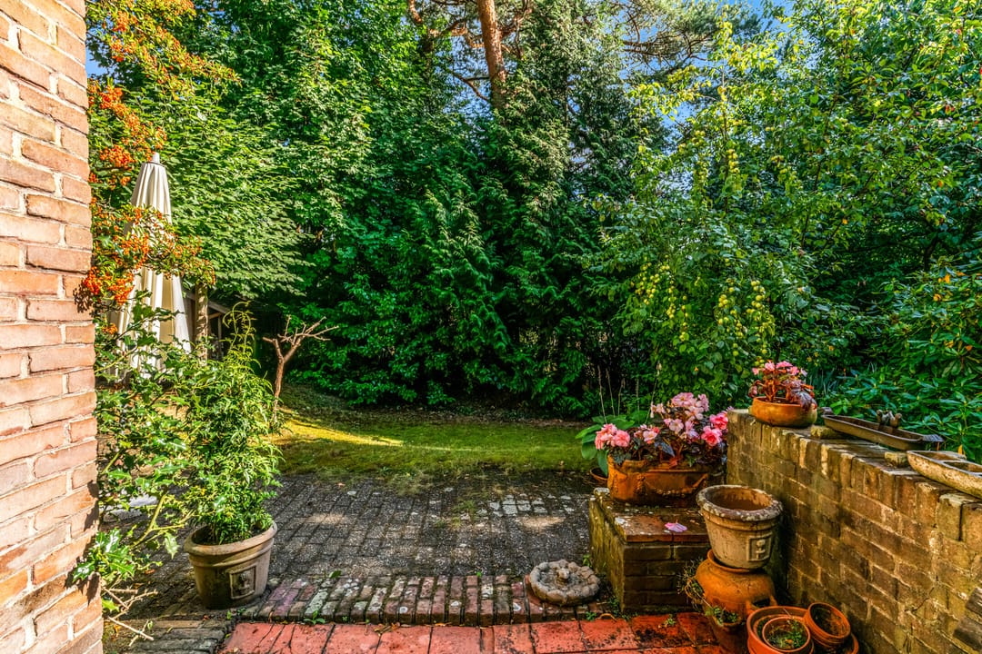 Photo 47 of Obrechtlaan 50