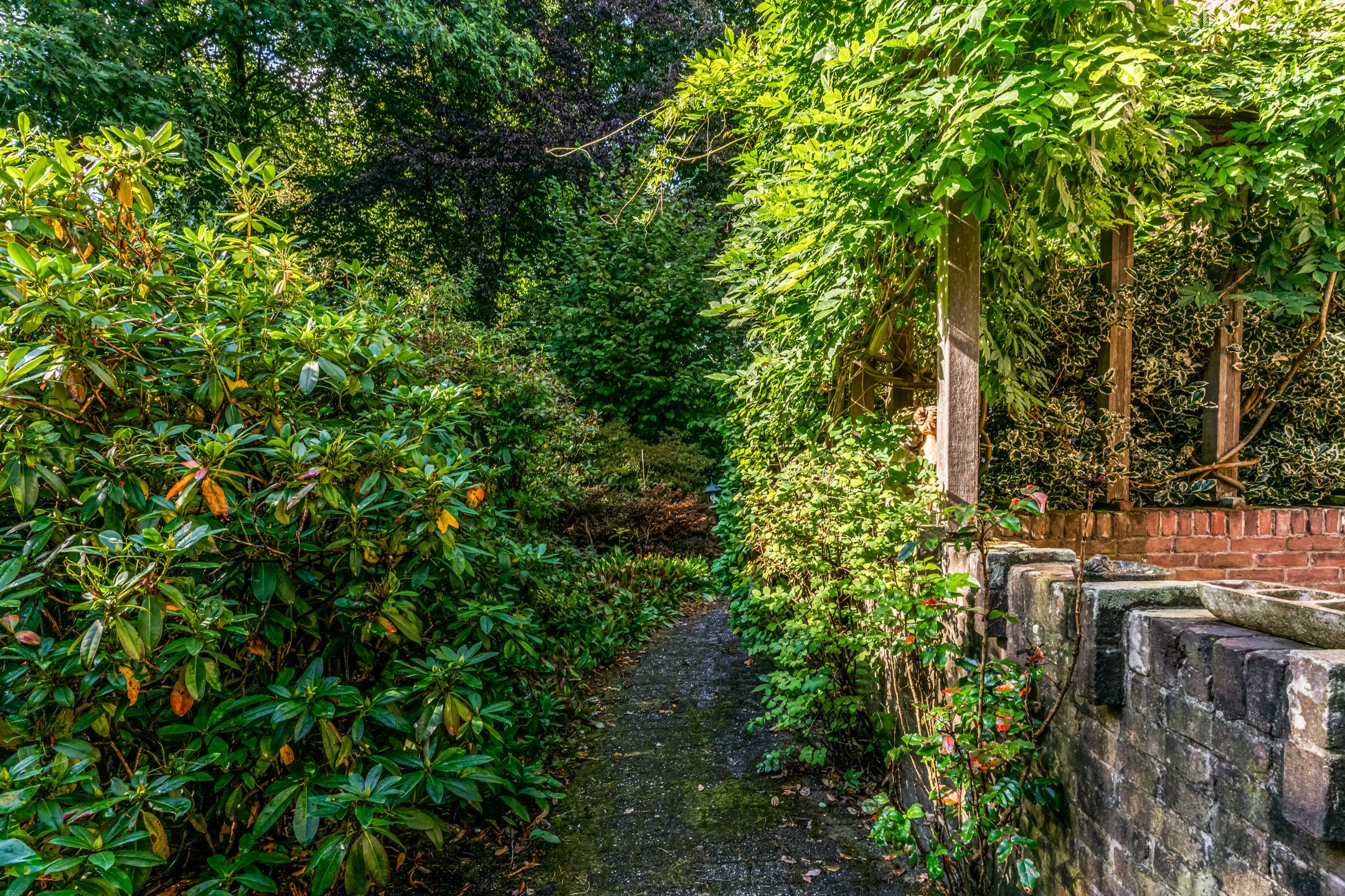 Photo 48 of Obrechtlaan 50