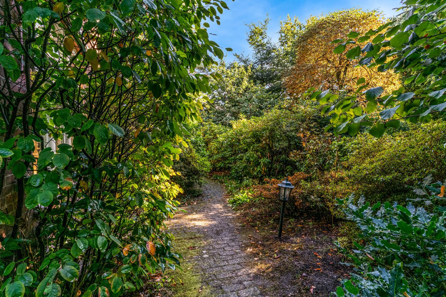 Photo 49 of Obrechtlaan 50