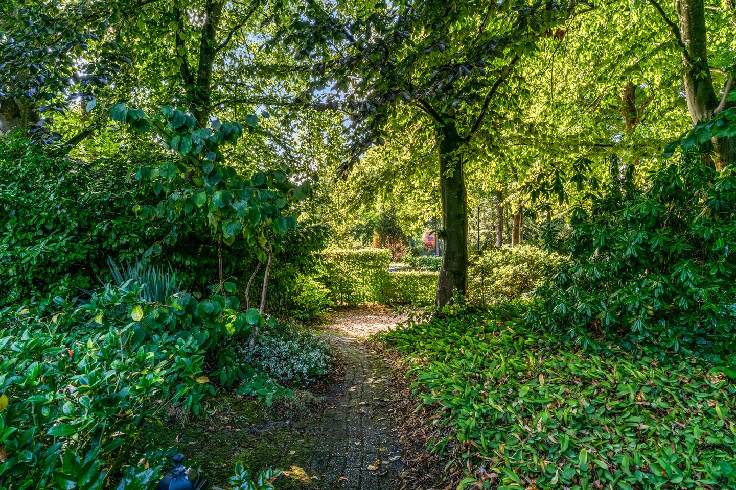 Photo 50 of Obrechtlaan 50