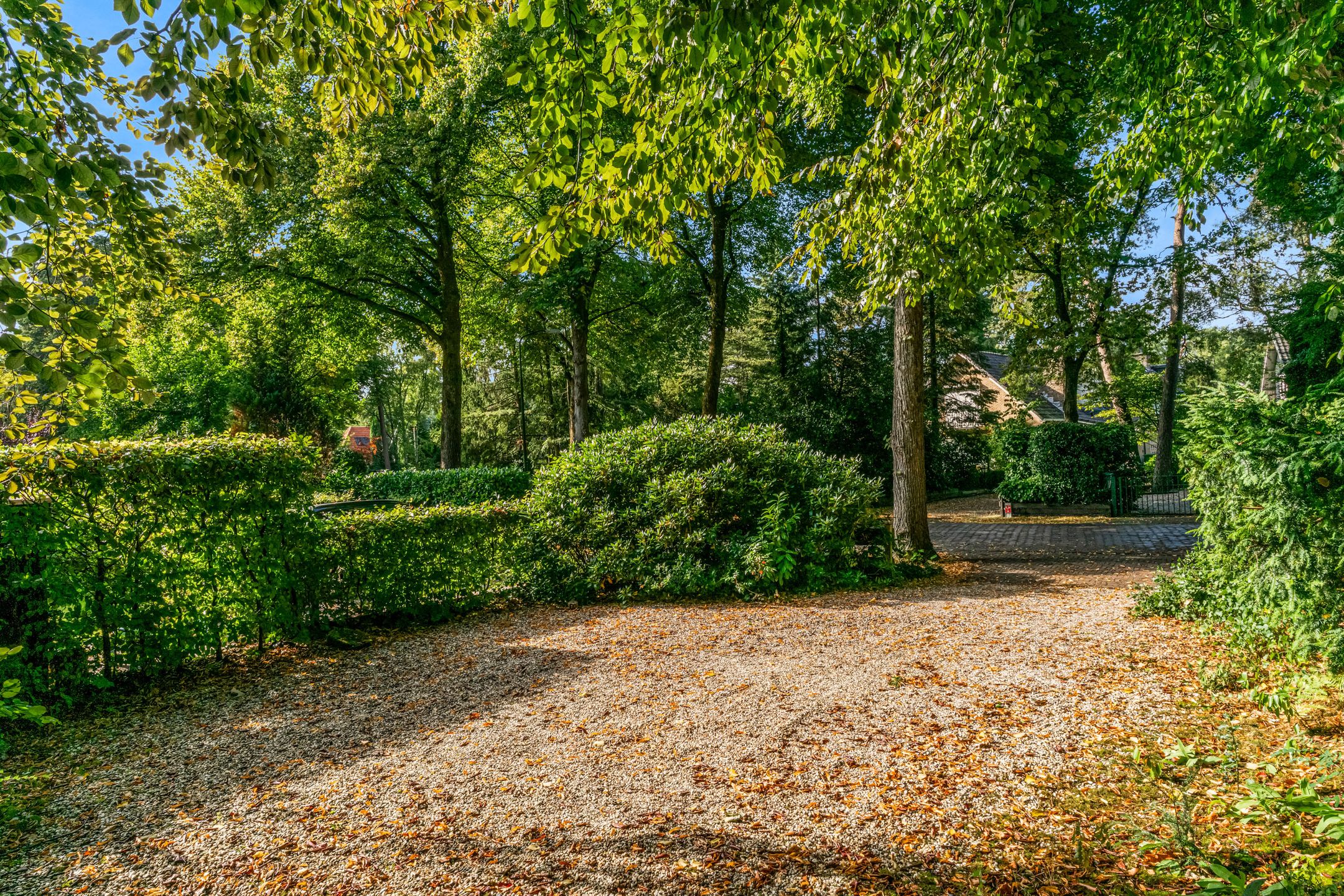 Photo 51 of Obrechtlaan 50