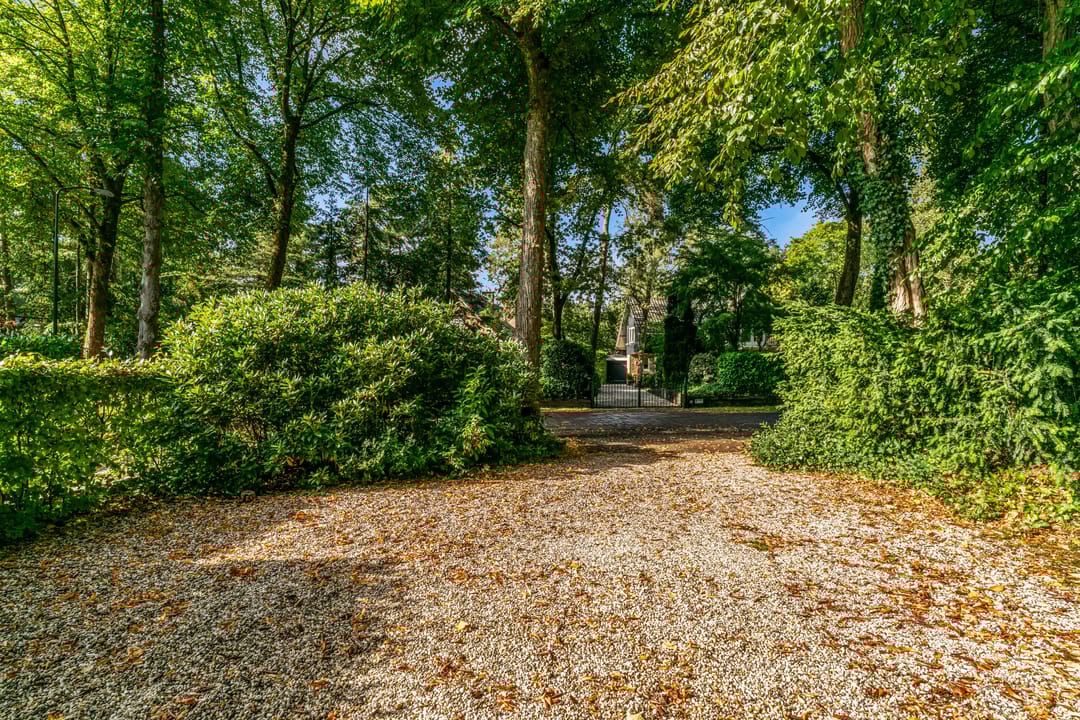 Photo 52 of Obrechtlaan 50