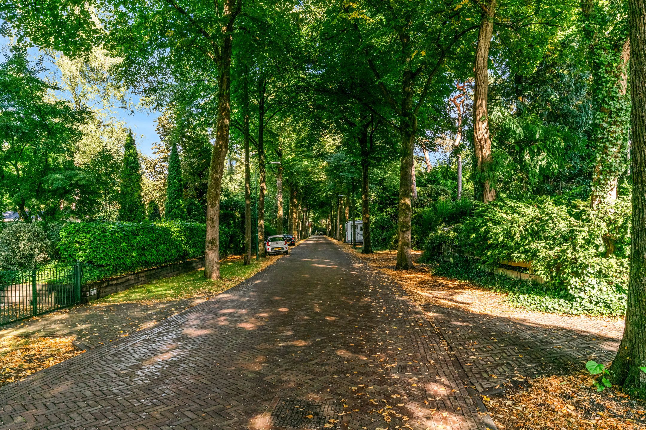 Photo 54 of Obrechtlaan 50