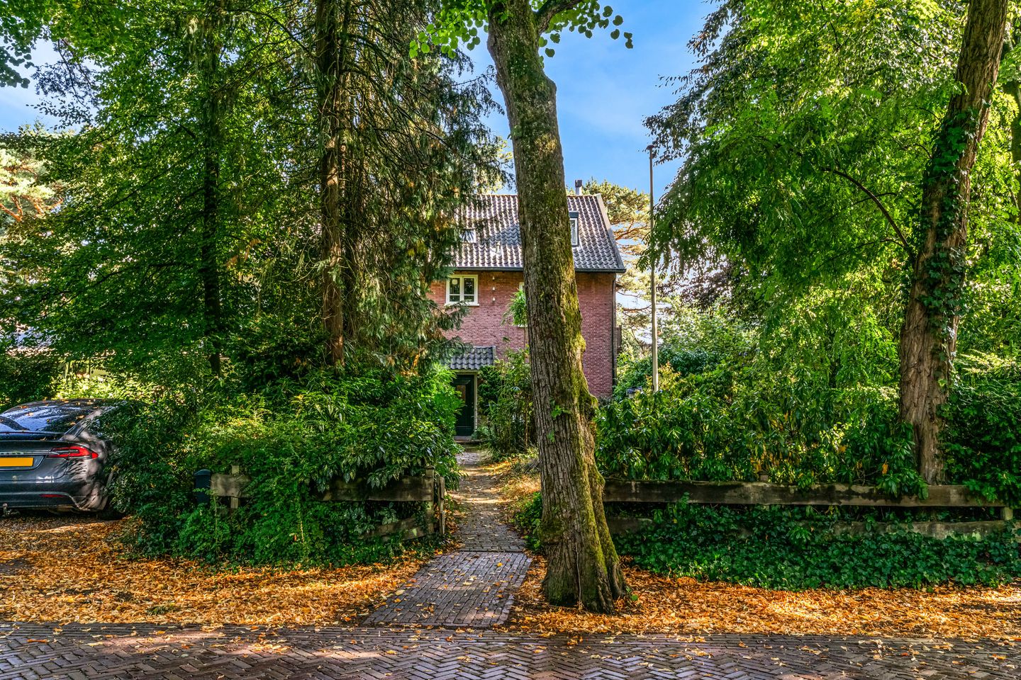 Photo 55 of Obrechtlaan 50