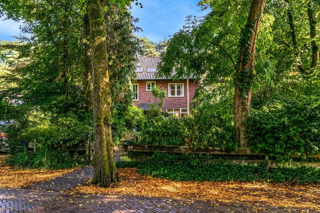 Photo 56 of Obrechtlaan 50