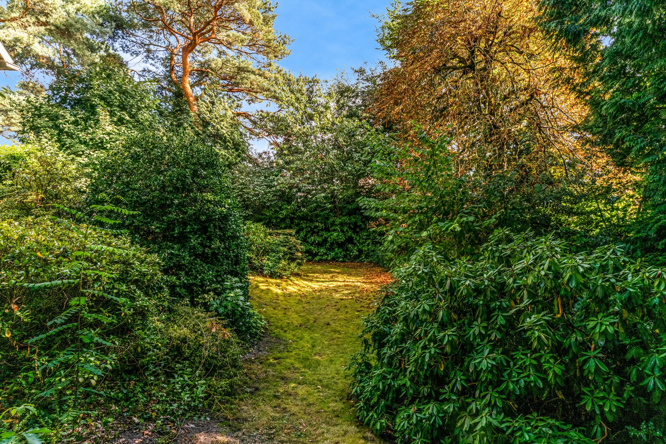 Photo 57 of Obrechtlaan 50