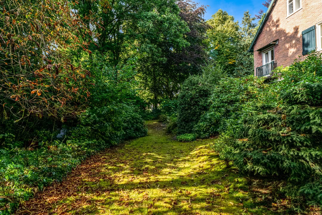 Photo 58 of Obrechtlaan 50